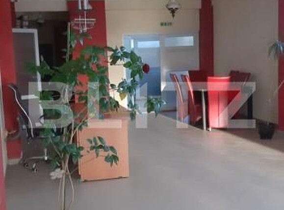 Spațiu comercial de închiriat Ipotesti - 152162SIC | BLITZ Suceava | Poza10