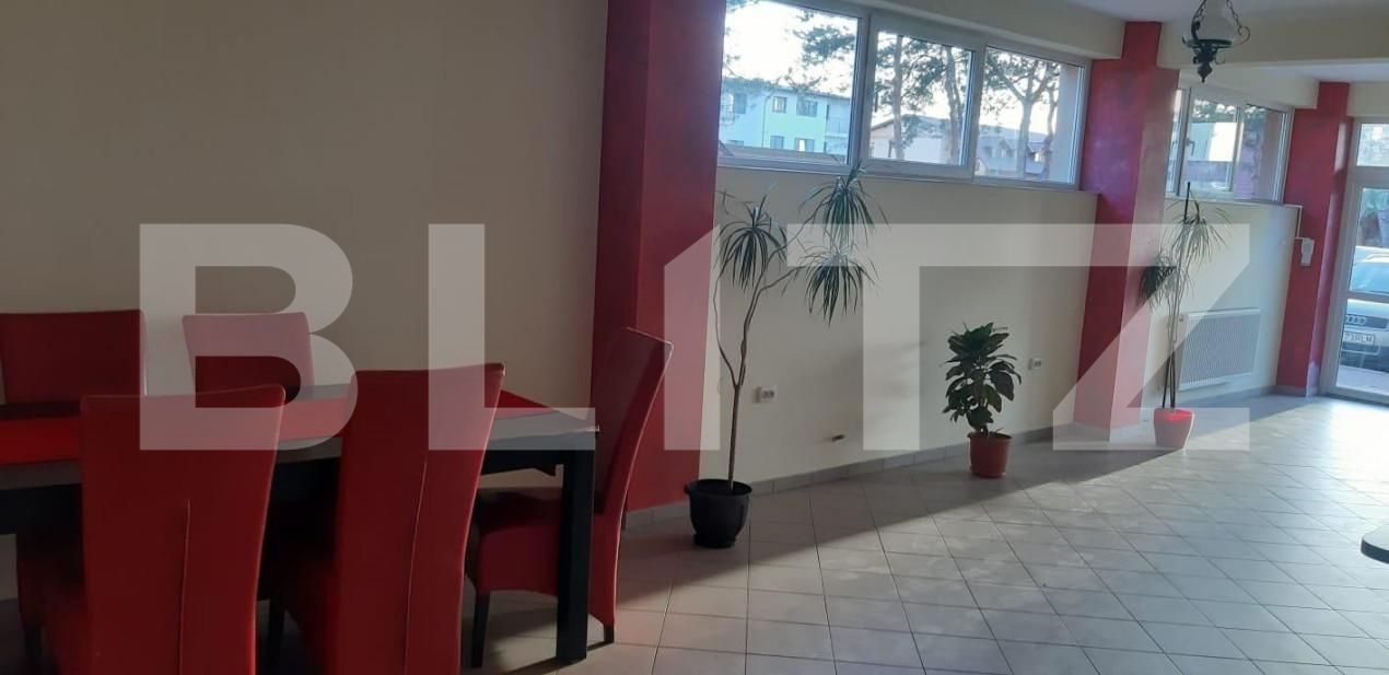 Spațiu comercial de închiriat Ipotesti - 152162SIC | BLITZ Suceava | Poza9