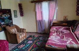 Casa batraneasca 95 mp, teren 1900mp, Stroiesti 