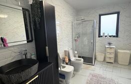 Casa moderna cu elemente traditionale , 306 mp utili , 2500 mp teren , Moara 