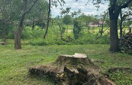 Casa+teren pentru investitie, 5500mp, Horodnic de Sus