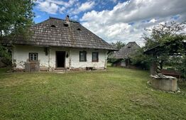 Casa+teren pentru investitie, 5500mp, Horodnic de Sus