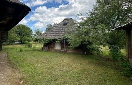 Casa+teren pentru investitie, 5500mp, Horodnic de Sus