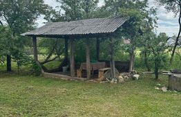 Casa+teren pentru investitie, 5500mp, Horodnic de Sus