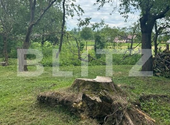 Teren de vânzare Horodnic - 152278TV | BLITZ Suceava | Poza4