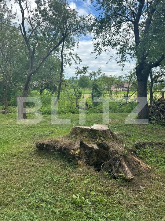 Teren de vânzare Horodnic - 152278TV | BLITZ Suceava | Poza4