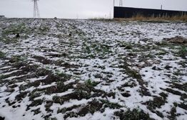 Teren intravilan, 11,7 ari, Sf Ilie cu urbanism P+1