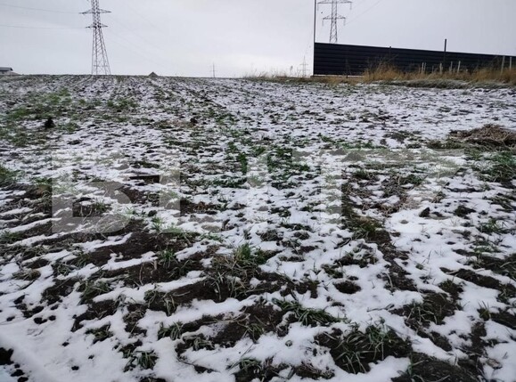 Teren de vânzare Sfantu Ilie - 152337TV | BLITZ Suceava | Poza3