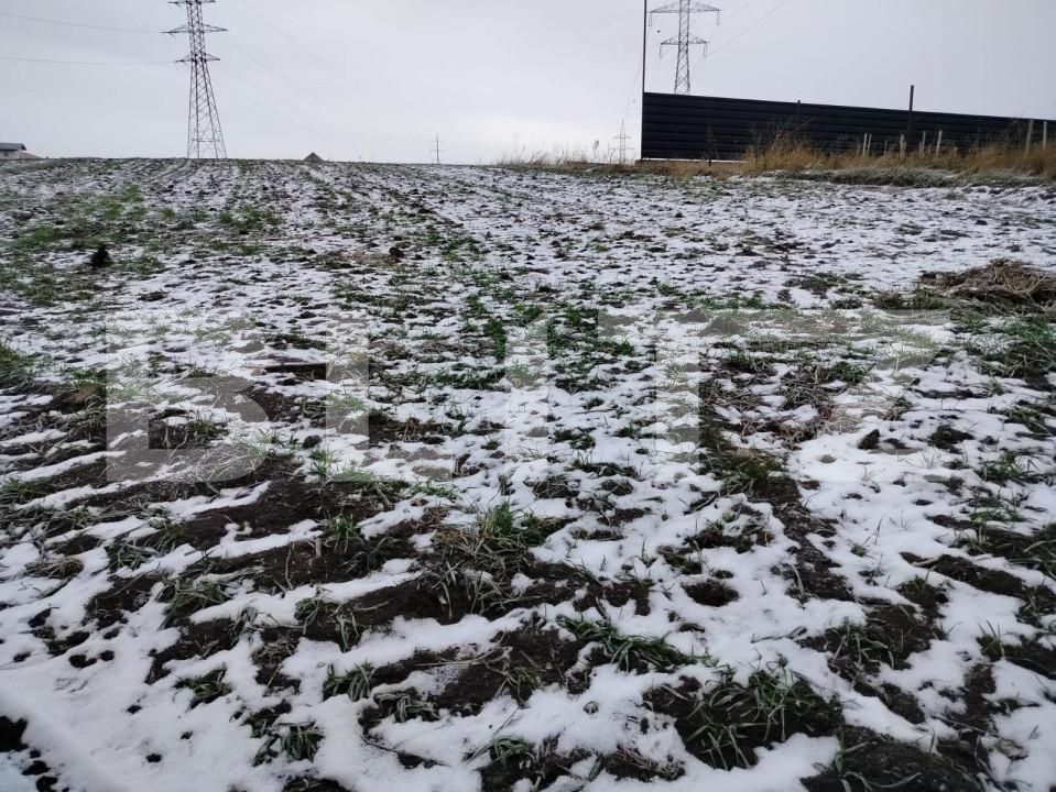 Teren de vânzare Sfantu Ilie - 152337TV | BLITZ Suceava | Poza3