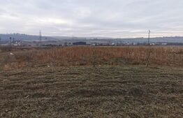 Teren intravilan Poiana Patrauti de 5900mp