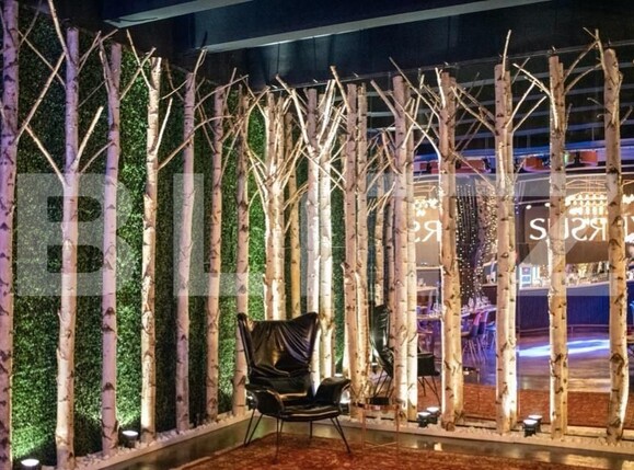 Spațiu comercial de închiriat Central - 152343SIC | BLITZ Suceava | Poza1