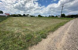 Ocazie, teren intravilan + casa batraneasca , zona Moara Carp