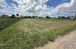 Ocazie, teren intravilan + casa batraneasca , zona Moara Carp