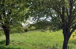 Teren intravilan, 5200mp, 21ml, zona Itcani