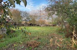 Casa Individuala ,Orasul Siret , 900mp