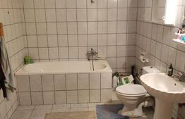 Cabana 250mp, Manastirea Humorului