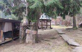 Cabana 250mp, Manastirea Humorului