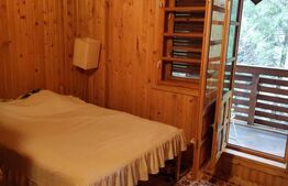 Cabana 250mp, Manastirea Humorului