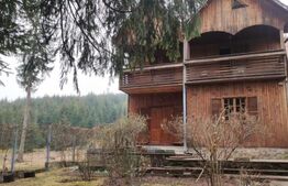 Cabana 250mp, Manastirea Humorului