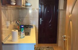Garsonieră, 22mp, zona Burdujeni