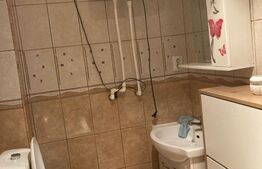 Garsonieră, 22mp, zona Burdujeni