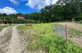 Teren intravilan , 872 mp , zona Burdujeni Sat 