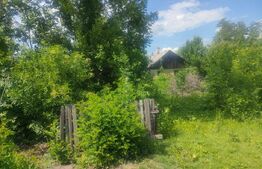 Casa + teren 1800 mp. Zona Negostina