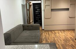 Garsoniera, 25 mp, zona Burdujeni