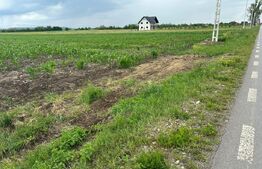 Teren intravilan ,4900 mp , 25ml front, Fratautii Vechi, Radauti