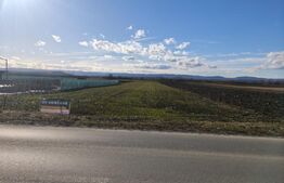 Teren intravilan ,4900 mp , 25ml front, Fratautii Vechi, Radauti