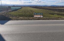 Teren intravilan ,4900 mp , 25ml front, Fratautii Vechi, Radauti