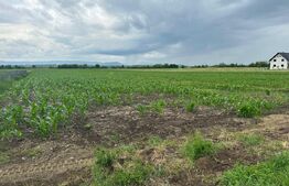 Teren intravilan ,4900 mp , 25ml front, Fratautii Vechi, Radauti