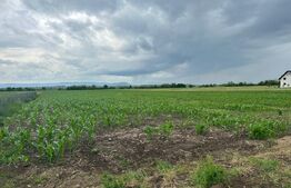 Teren intravilan ,4900 mp , 25ml front, Fratautii Vechi, Radauti