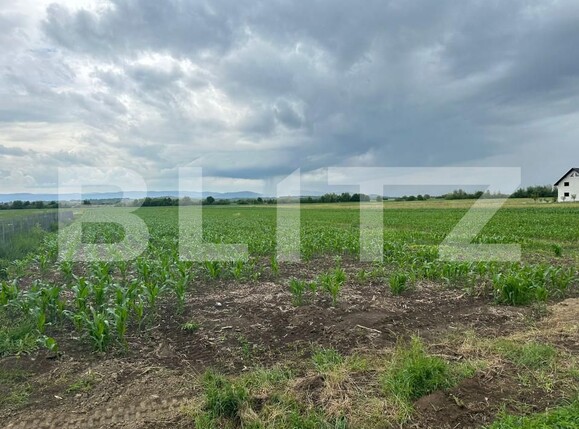 Teren de vânzare Fratautii Vechi - 152756TV | BLITZ Suceava | Poza7