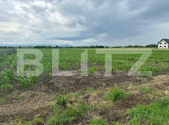Teren de vânzare Fratautii Vechi - 152756TV | BLITZ Suceava | Poza8