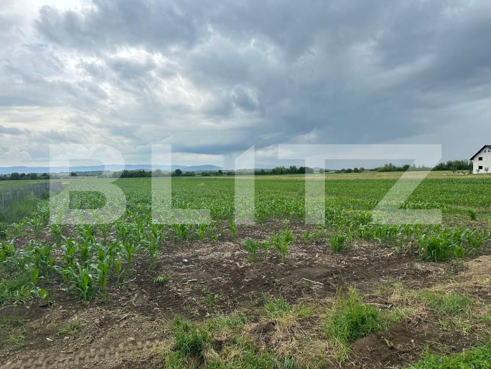 Teren de vânzare Fratautii Vechi - 152756TV | BLITZ Suceava | Poza7