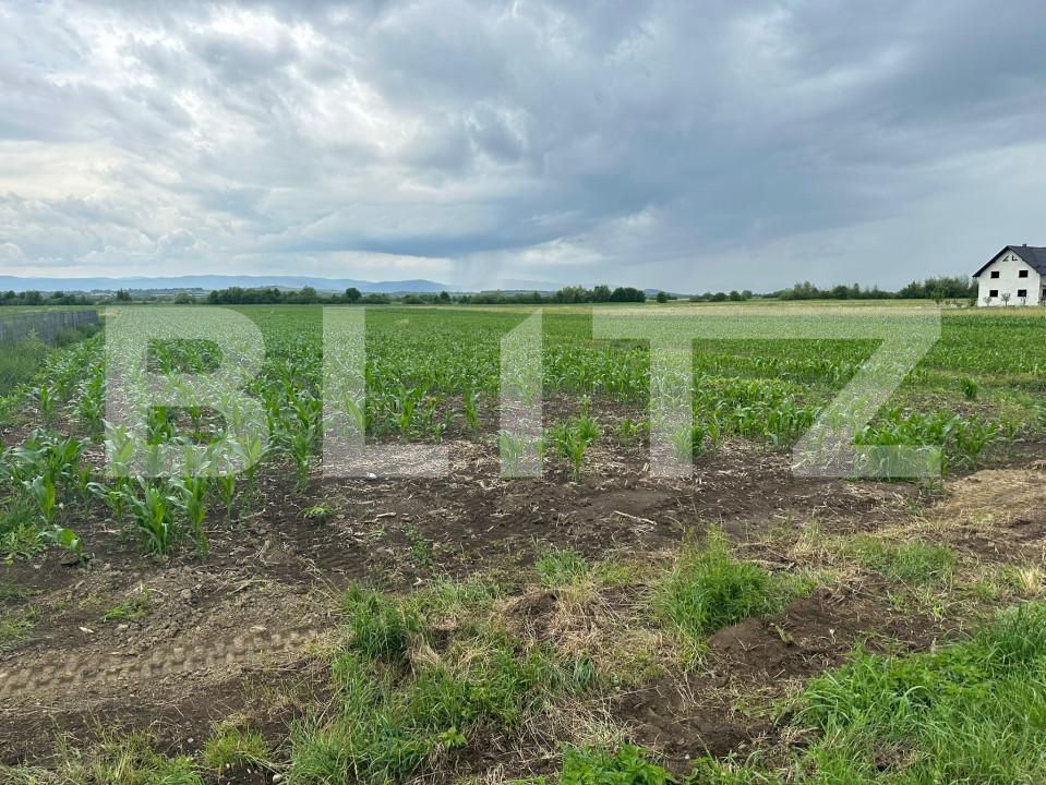 Teren de vânzare Fratautii Vechi - 152756TV | BLITZ Suceava | Poza5