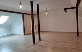 Ocazie!! Duplex modern ,  180 mp, Radauti