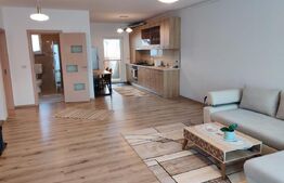 Ocazie!! Duplex modern ,  180 mp, Radauti