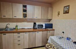 Garsoniera 31mp utili, mobilata , centrală proprie, zona Curcubeu