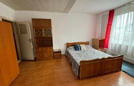 Oportunitate!! Cladire cu destinatie multipla , centru Radauti! Pret negociabil!