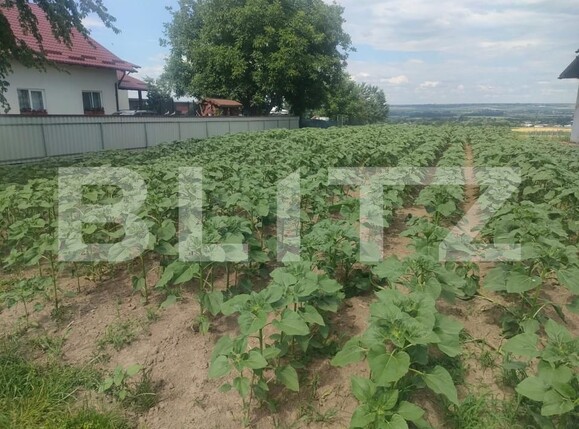 Teren de vânzare Gramesti - 152870TV | BLITZ Suceava | Poza2