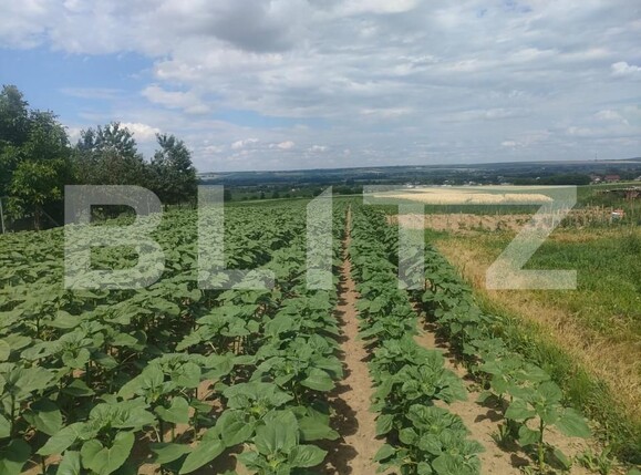 Teren de vânzare Gramesti - 152870TV | BLITZ Suceava | Poza1