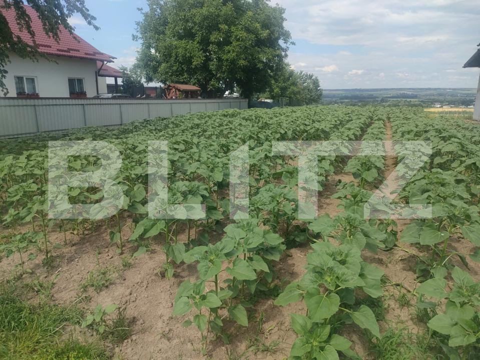 Teren de vânzare Gramesti - 152870TV | BLITZ Suceava | Poza2