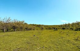 Cabană cu Teren Extravilan, 5000mp - la 3 km de Fălticeni