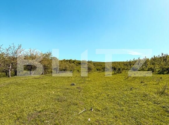 Teren de vânzare Falticeni - 152954TV | BLITZ Suceava | Poza6