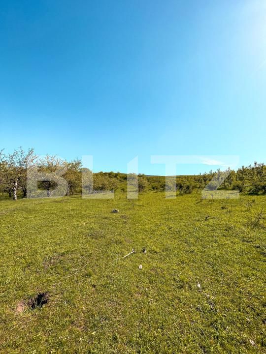 Teren de vânzare Falticeni - 152954TV | BLITZ Suceava | Poza6