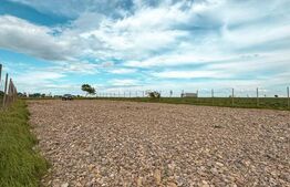 Oportunitate Investiție - Teren extravilan, 5000mp, 20 ml - Fântâna Mare 