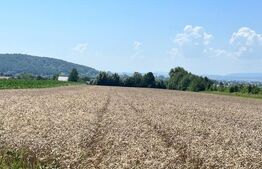 Oportunitate!!! Teren intravilan, 7800 mp, Horodnic de Jos