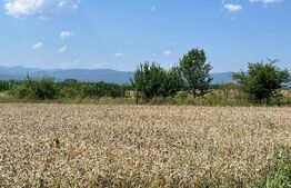 Oportunitate!!! Teren intravilan, 7800 mp, Horodnic de Jos